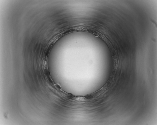 X0000102010324200807180917
