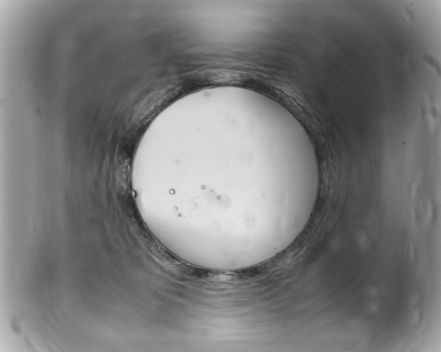 X0000102010325200807180917