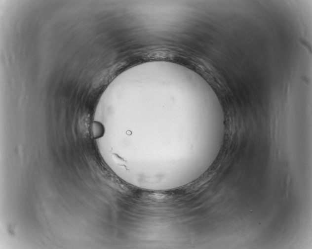 X0000102010326200807180917