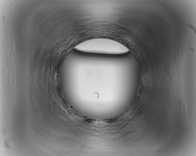 X0000102010327200807180917