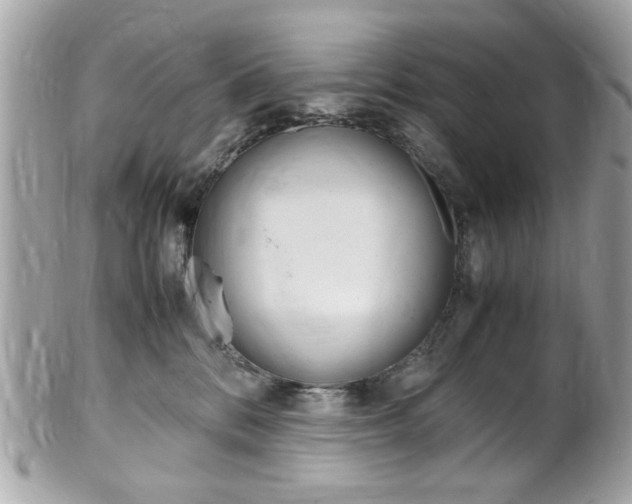 X0000102010328200807180917