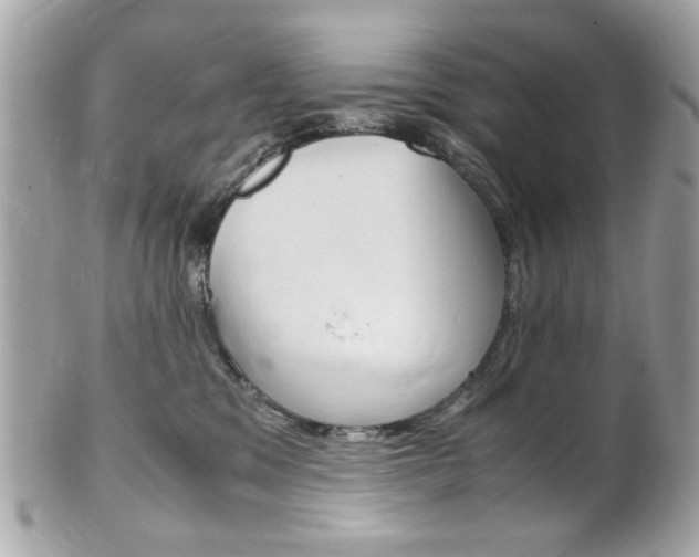 X0000102010329200807180917