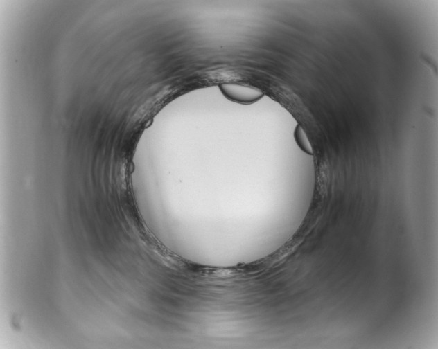 X0000102010330200807180917