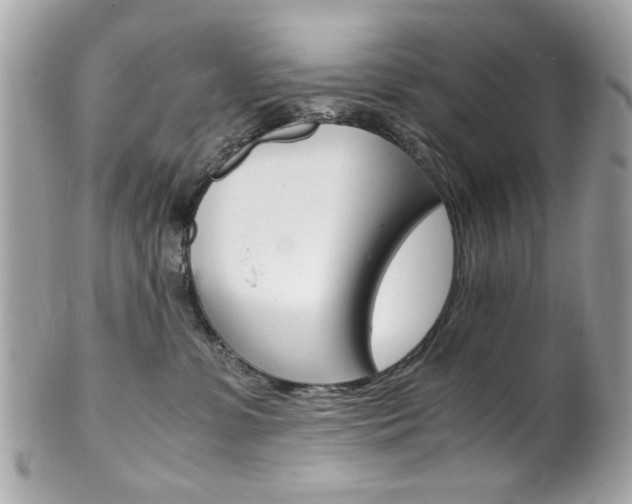 X0000102010331200807180916