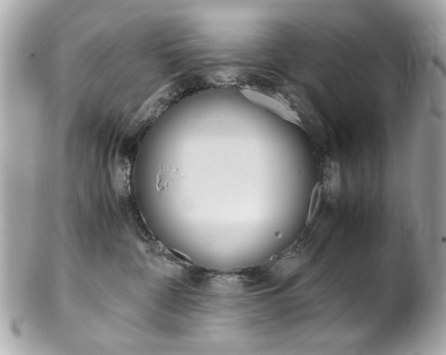 X0000102010332200807180916
