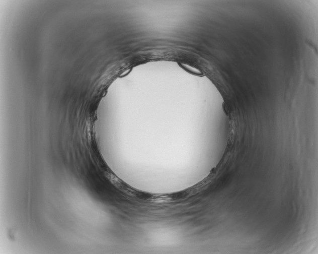 X0000102010333200807180916