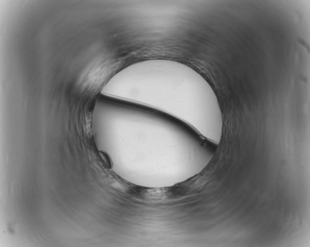 X0000102010335200807180916