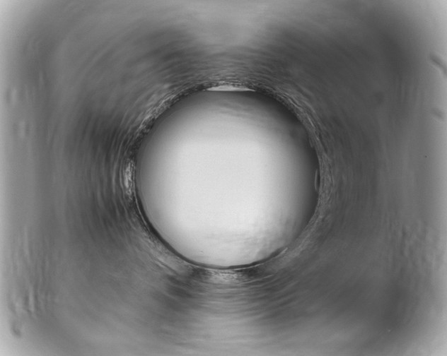 X0000102010336200807180916