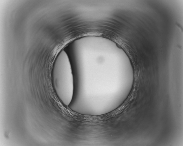 X0000102010337200807180916