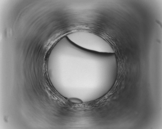 X0000102010338200807180916