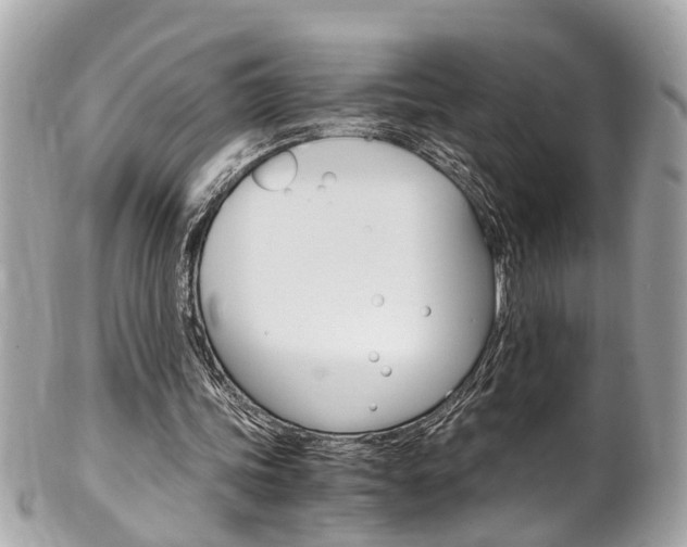 X0000102010339200807180916