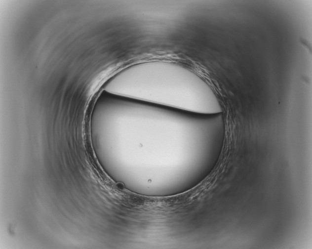 X0000102010340200807180916