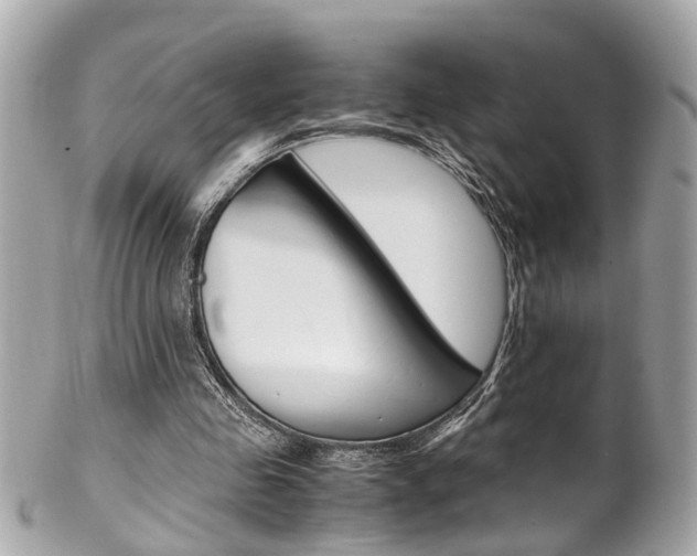 X0000102010341200807180916