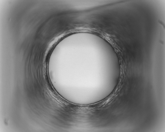 X0000102010342200807180916