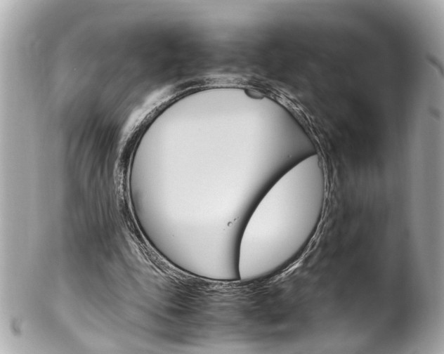 X0000102010343200807180916
