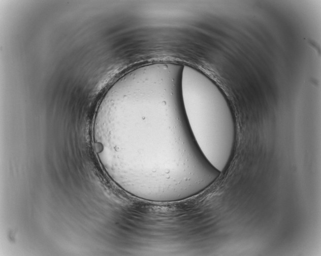 X0000102010347200807180916