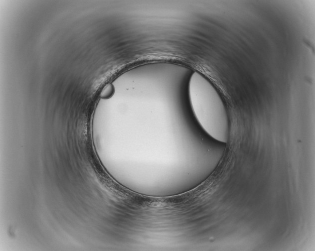X0000102010348200807180916