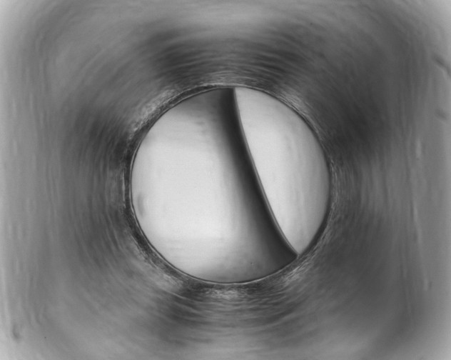X0000102010349200807180916
