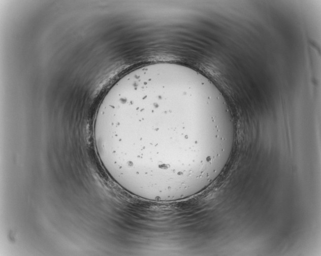 X0000102010351200807180916