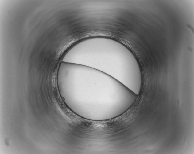 X0000102010352200807180916