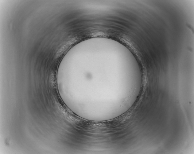 X0000102010353200807180916