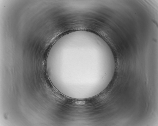 X0000102010355200807180916