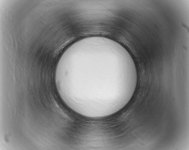 X0000102010356200807180916