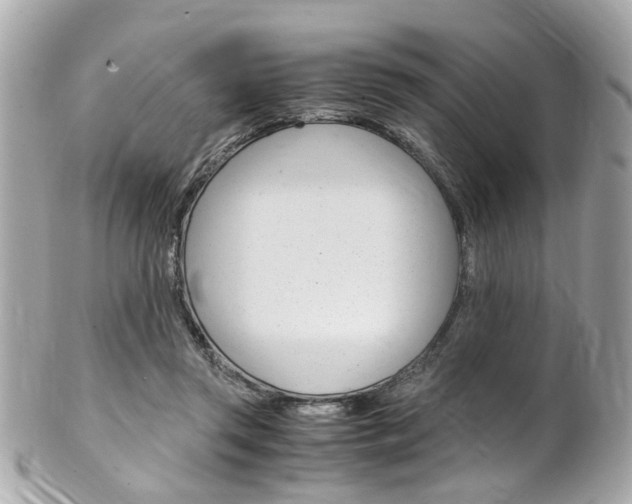 X0000102010357200807180916