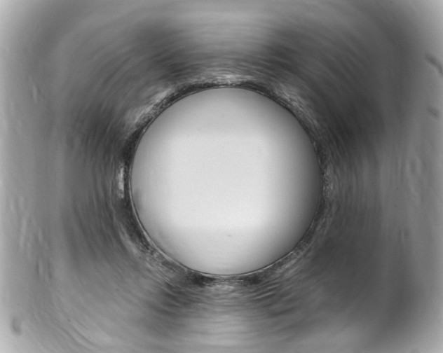 X0000102010358200807180916