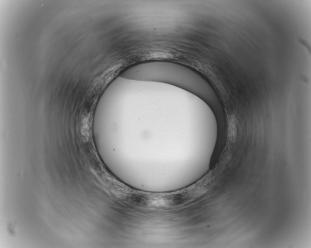 X0000102010360200807180916