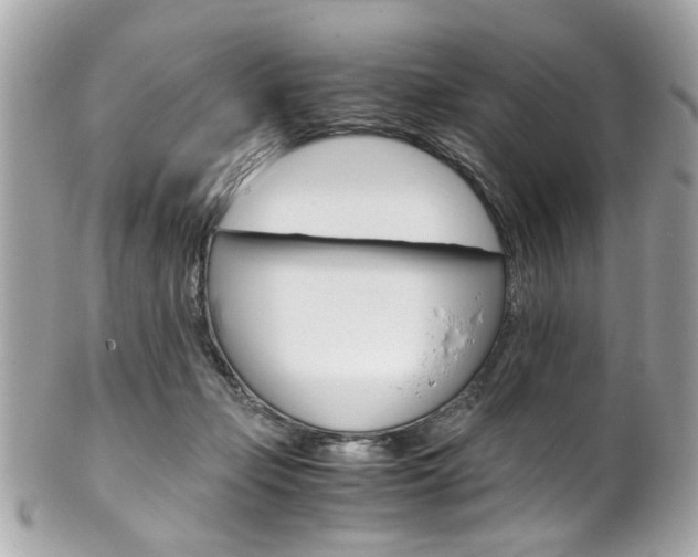 X0000102010365200807180916