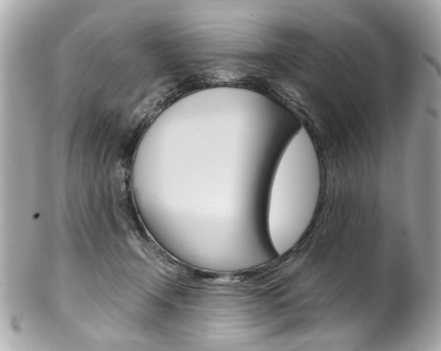 X0000102010366200807180916