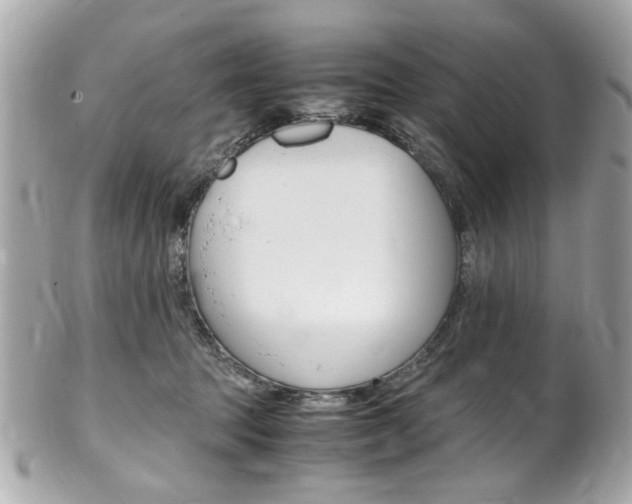 X0000102010369200807180916