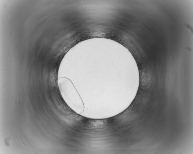 X0000102010370200807180916