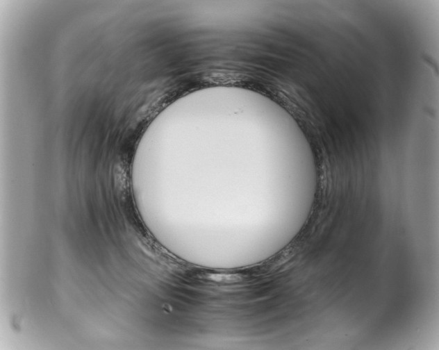 X0000102010371200807180916