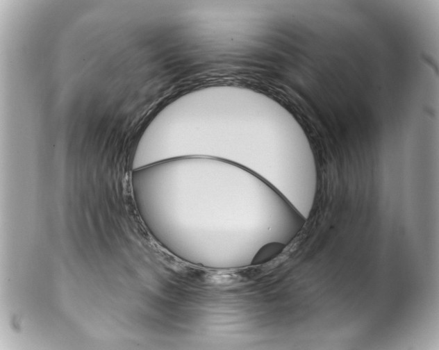 X0000102010372200807180916