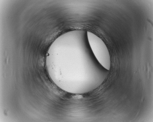 X0000102010374200807180916
