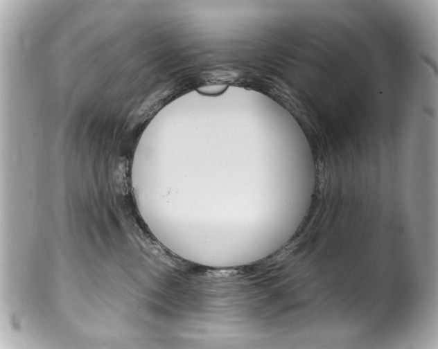 X0000102010378200807180916