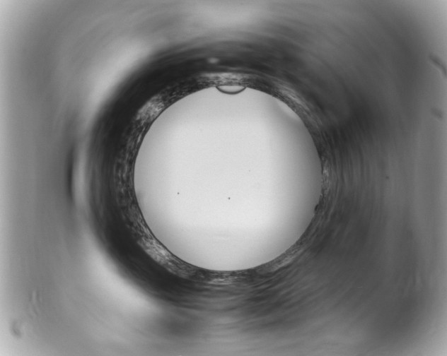 X0000102010381200807180916