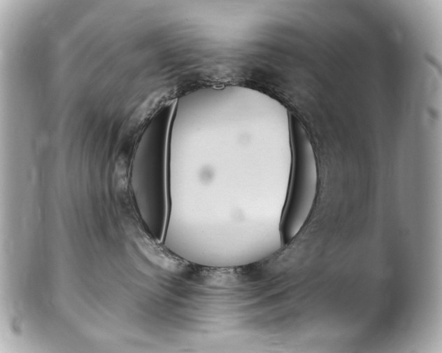 X0000102010384200807180916
