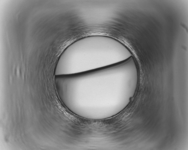 X0000102010385200807180916