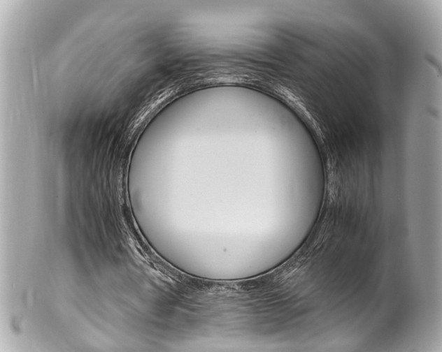 X0000102010386200807180916