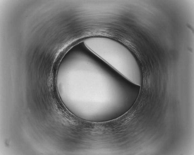 X0000102010388200807180916