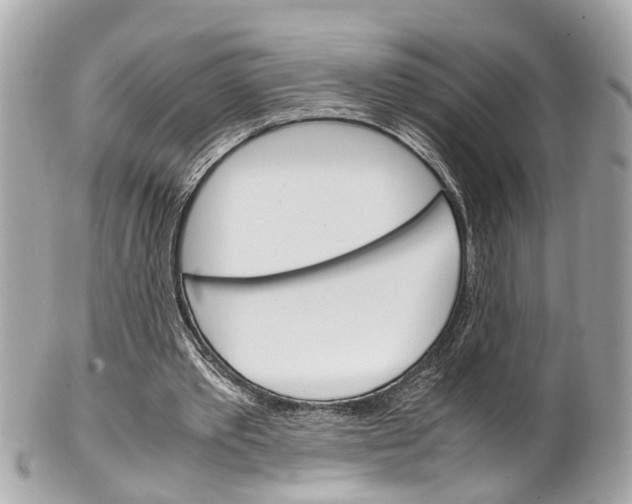 X0000102010389200807180916
