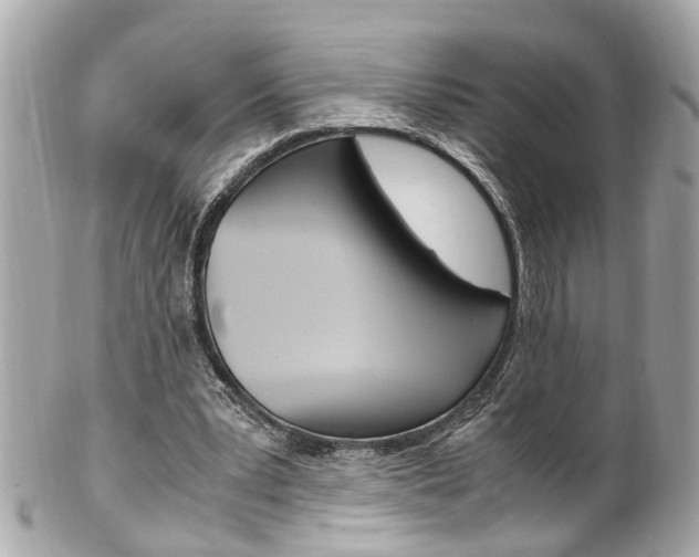 X0000102010391200807180916