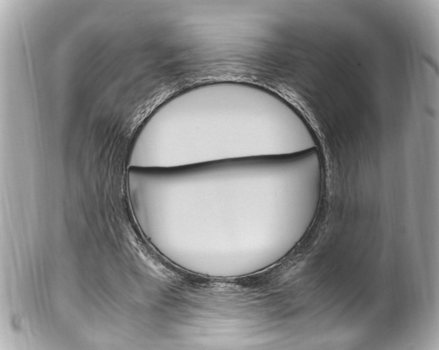 X0000102010393200807180916