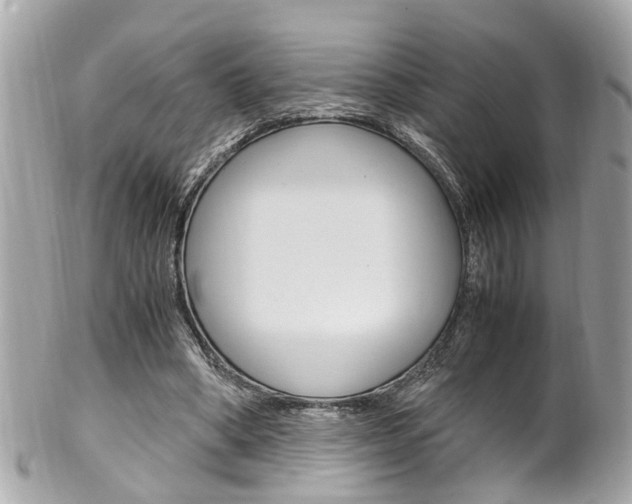 X0000102010394200807180916