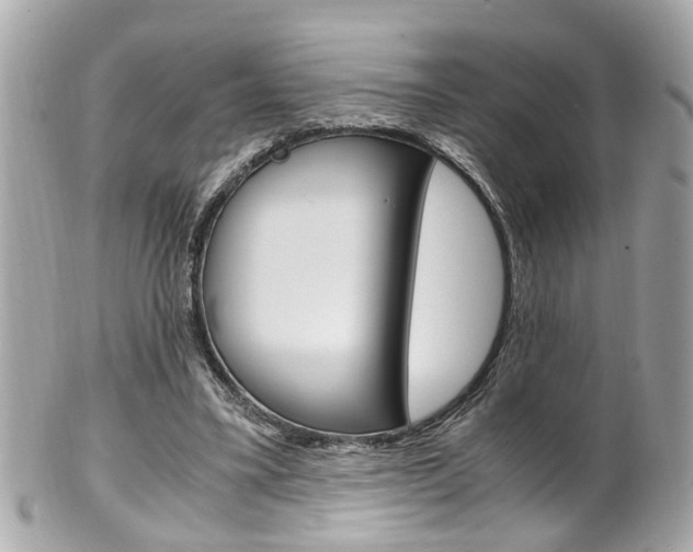 X0000102010395200807180916