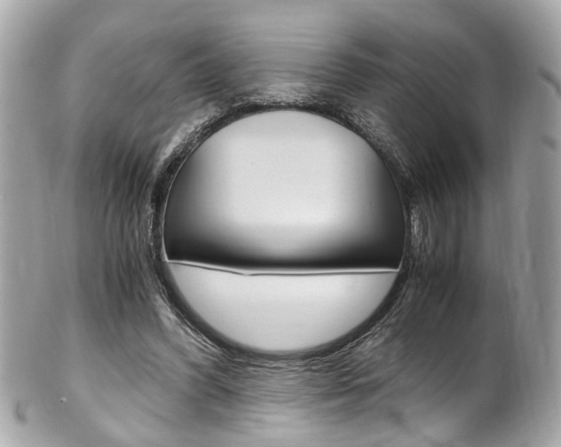 X0000102010396200807180916