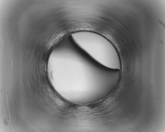 X0000102010397200807180916